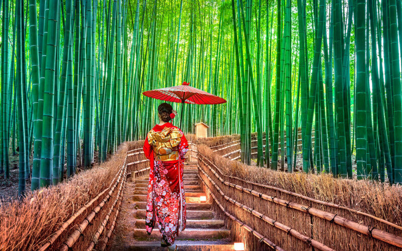 Tour Nhật Bản: Check-in cùng rừng tre Sagano thơ mộng 31 arashiyama bambusy e1647941247969