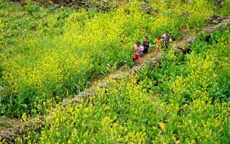 Meo Vac Ha Giang 6830 1648807019 e1652172901851