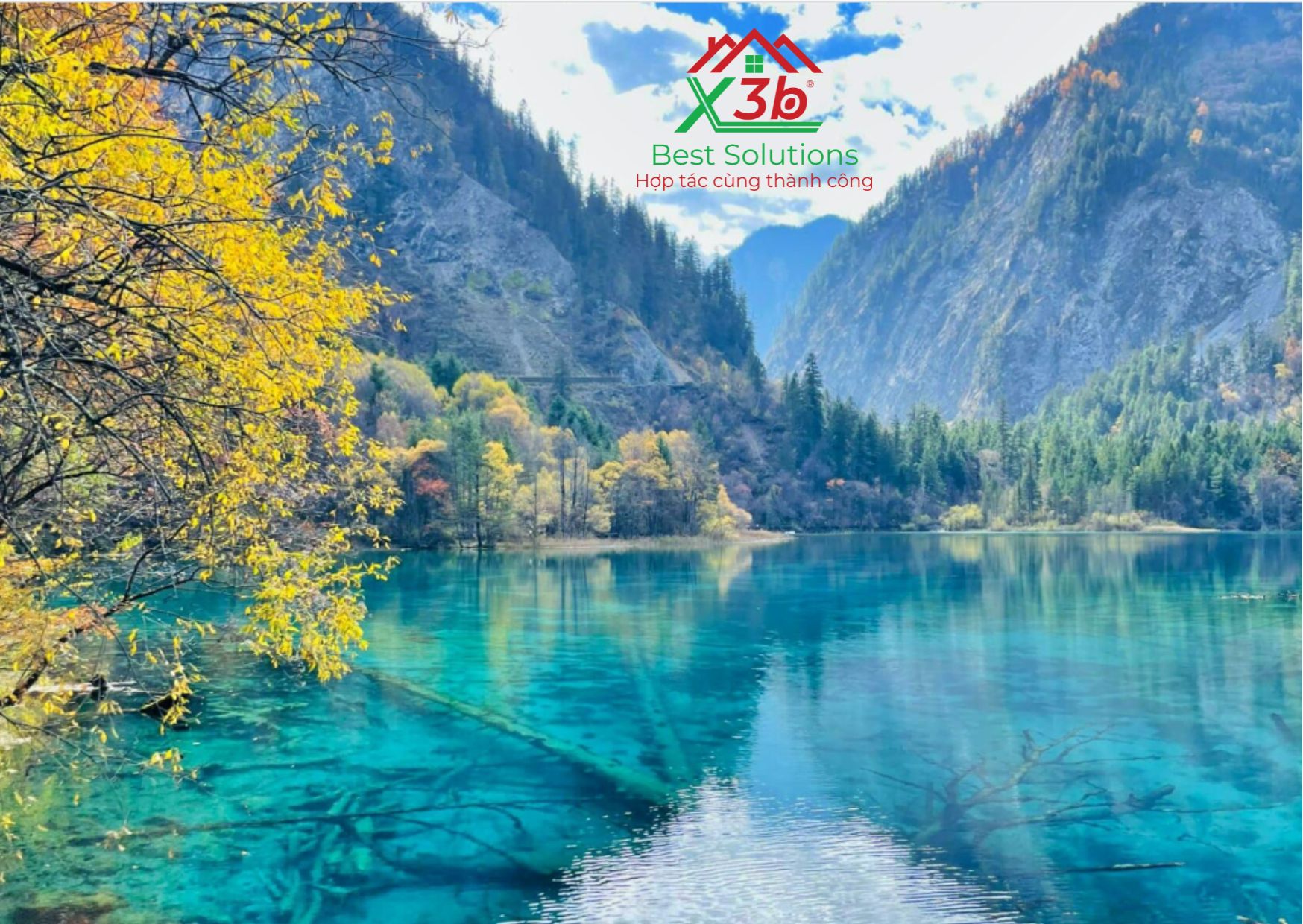 xbaglobal.com x3b.vn 3